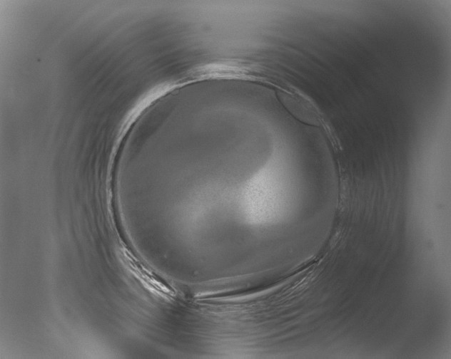 X0000077411435200610201449