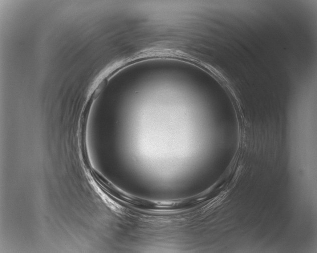 X0000077411438200610201449