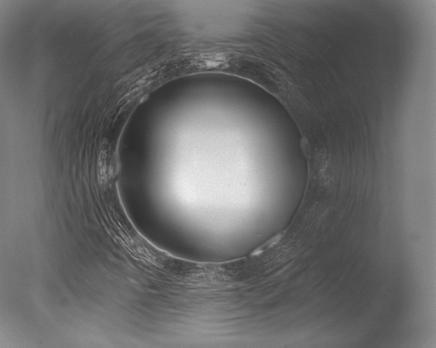 X0000077411442200610201448