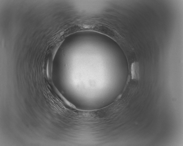 X0000077411443200610201448
