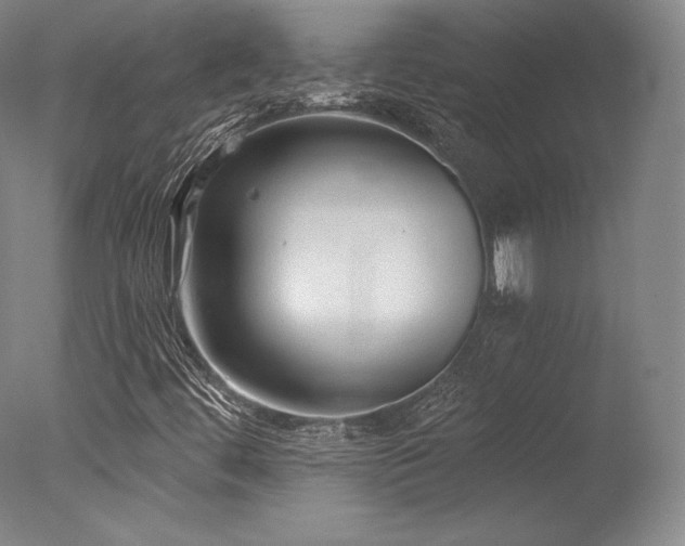 X0000077411444200610201448