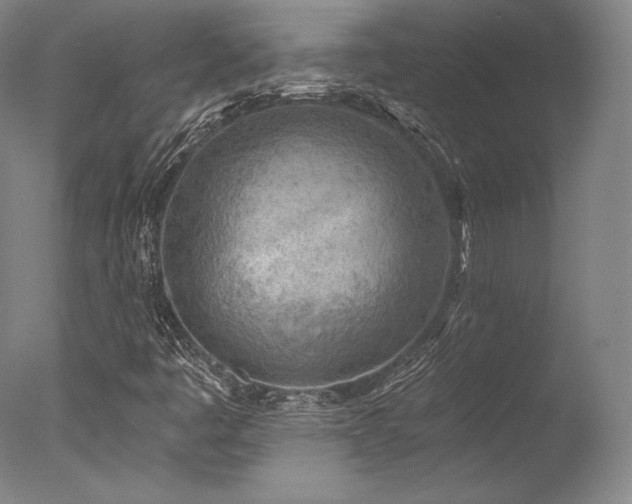 X0000077411445200610201448