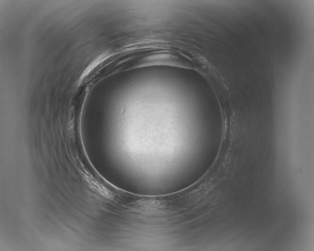 X0000077411450200610201448