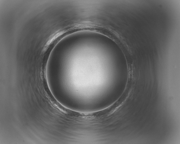X0000077411453200610201448