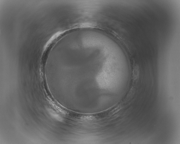 X0000077411454200610201448