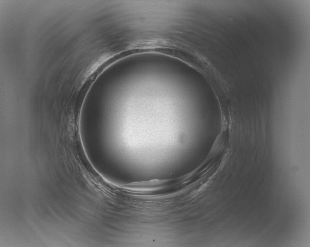 X0000077411457200610201448