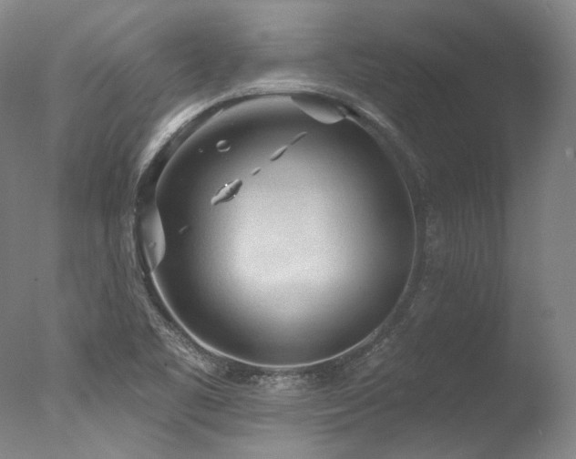 X0000077411461200610201448