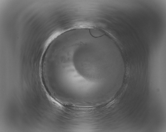 X0000077411471200610201448