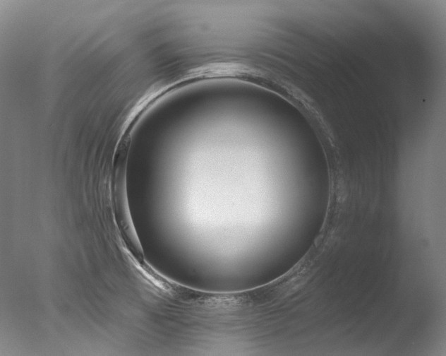 X0000077411473200610201448