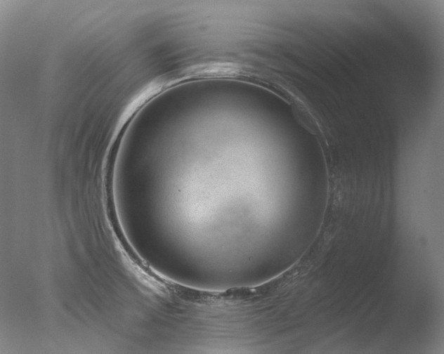 X0000077411475200610201448