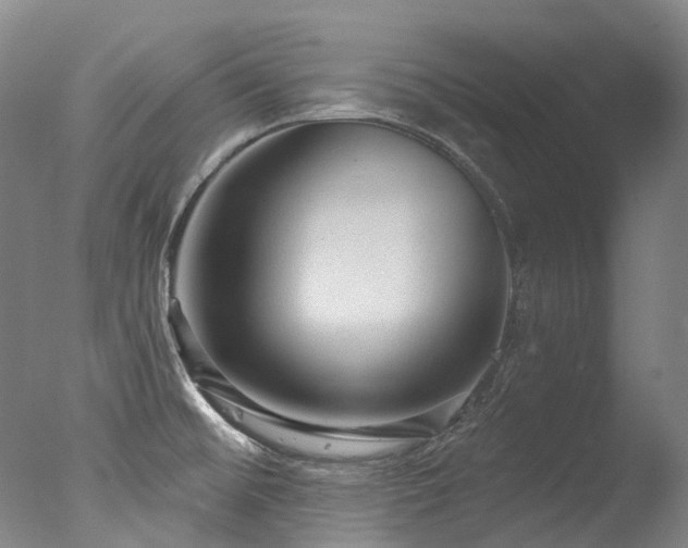 X0000077411476200610201448