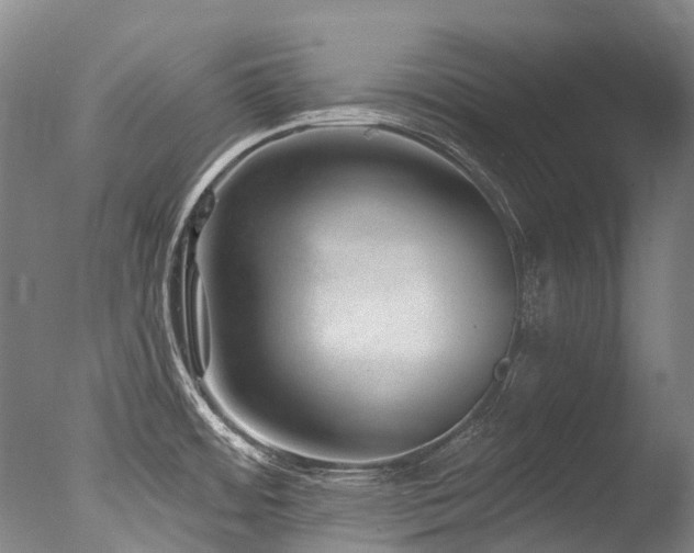 X0000077411484200610201448