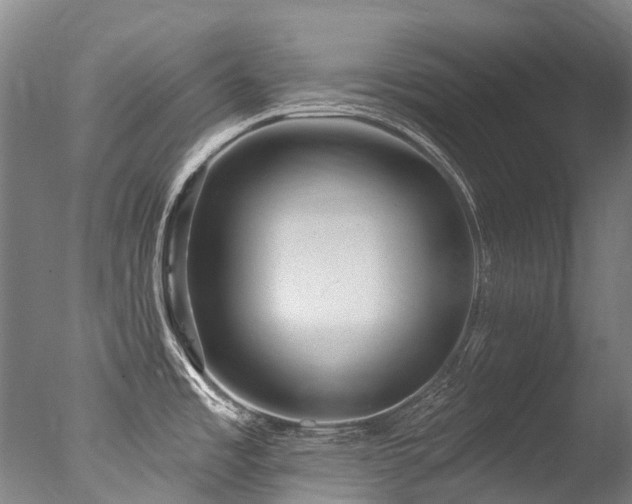 X0000077411485200610201448