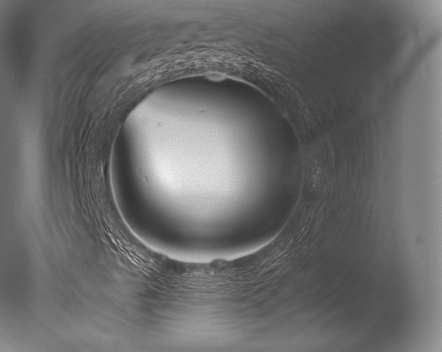 X0000077411489200610201447