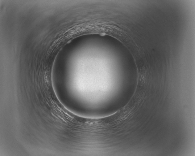 X0000077411490200610201447