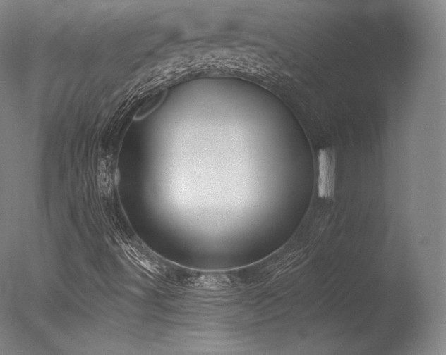 X0000077411491200610201447