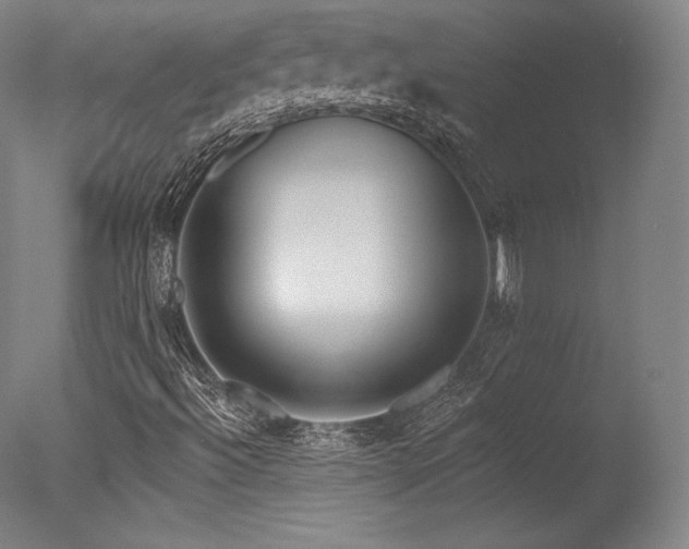 X0000077411492200610201447