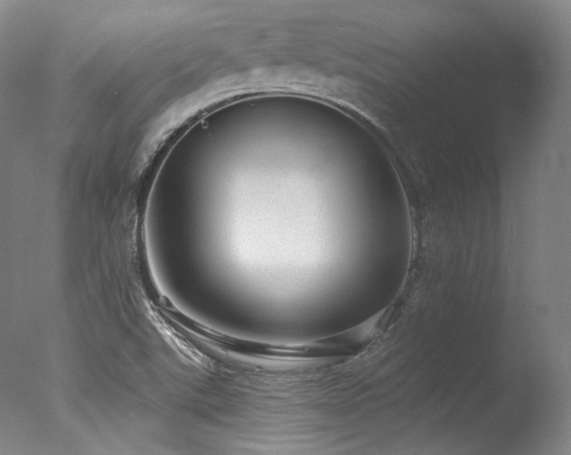 X0000077411507200610201447