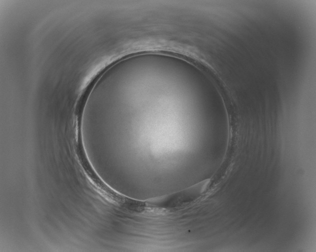 X0000077411509200610201447