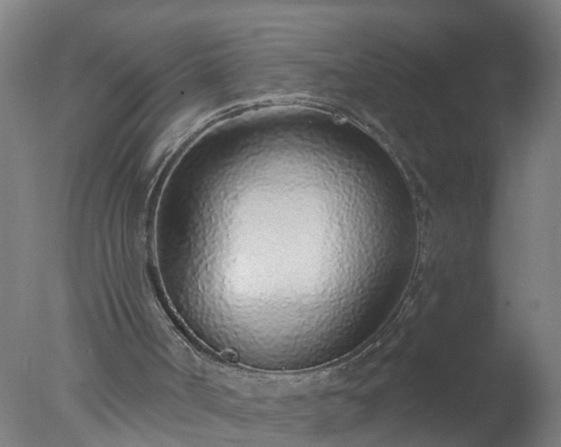 X0000077410002200610272117