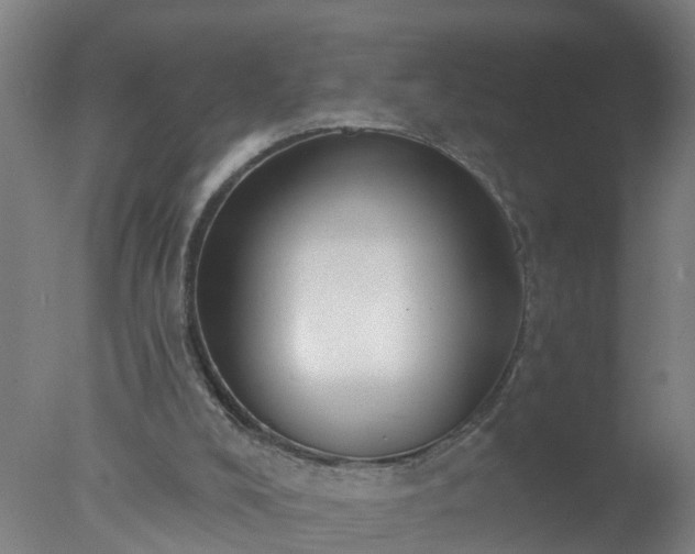 X0000077410008200610272117