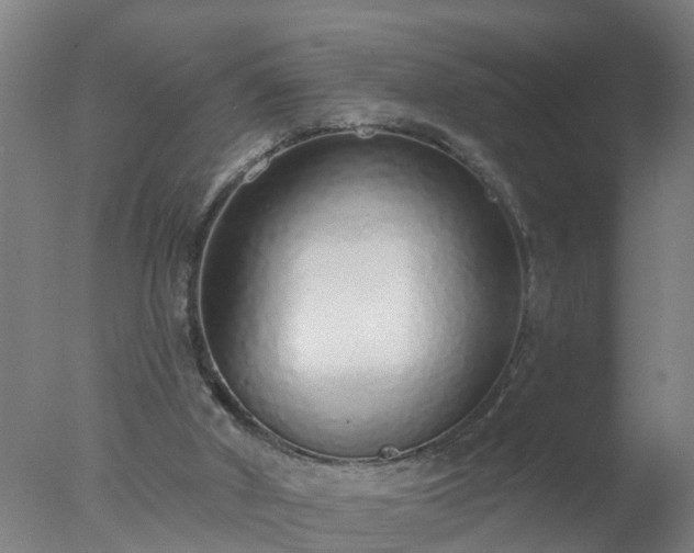 X0000077410010200610272117