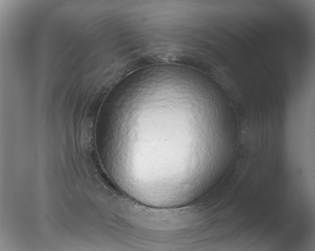 X0000077410030200610272116