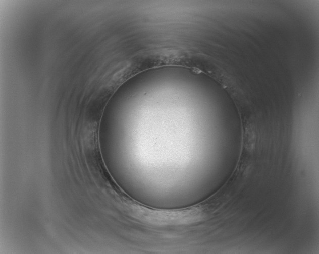 X0000077410034200610272116