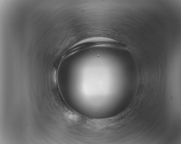 X0000077410041200610272116