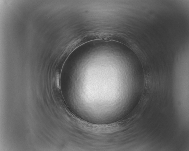X0000077410046200610272116