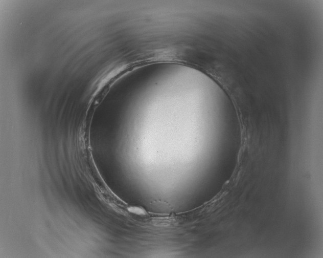 X0000077410050200610272115