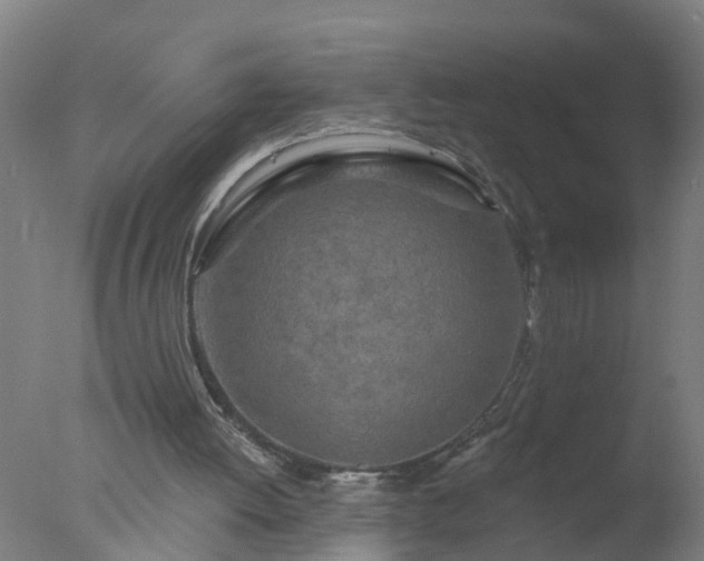 X0000077410052200610272115