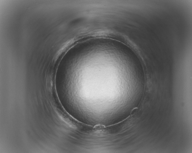 X0000077410059200610272115