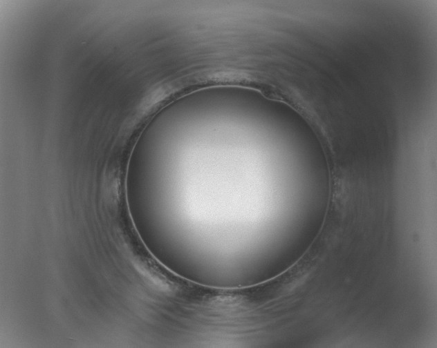 X0000077410063200610272115