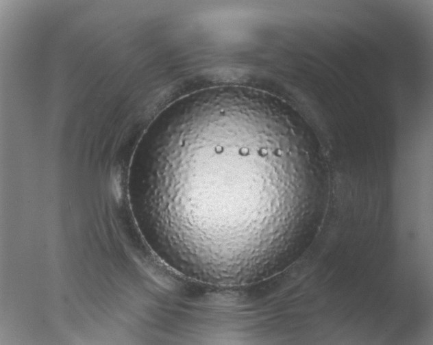 X0000077410069200610272115