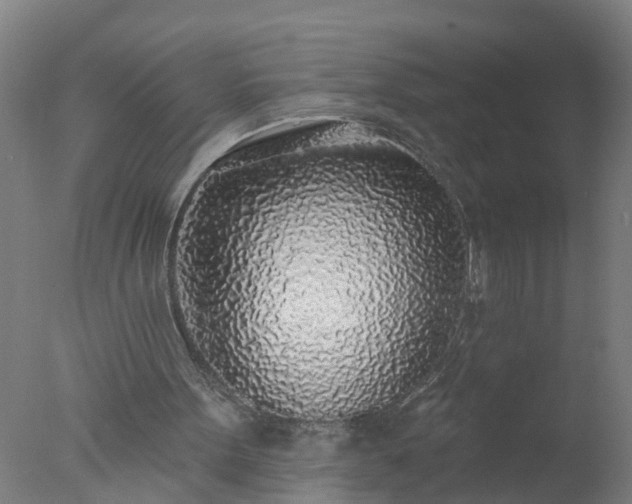 X0000077410099200610272115