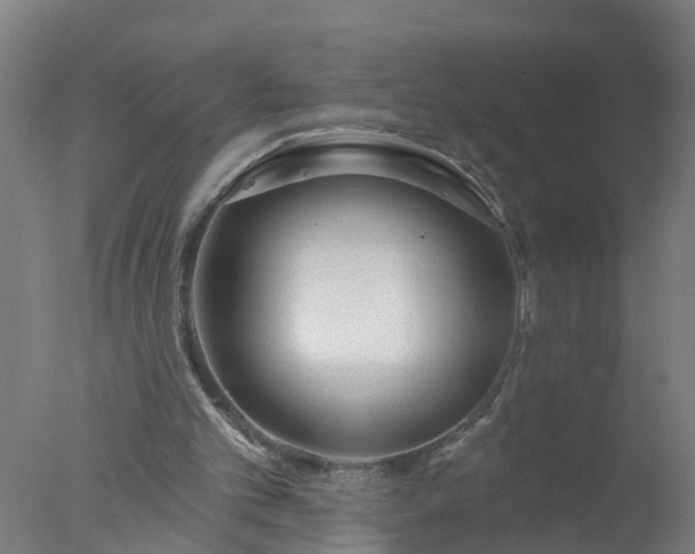 X0000077410101200610272115