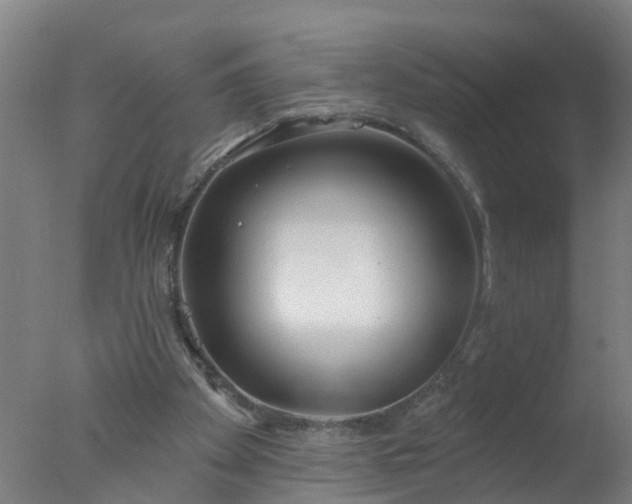 X0000077410105200610272115