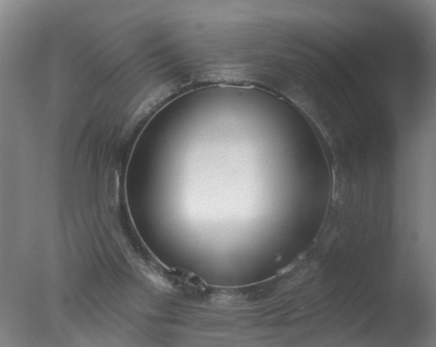 X0000077410109200610272115