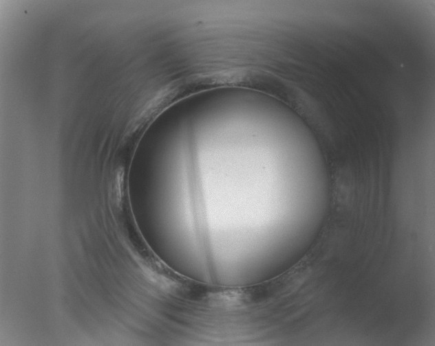 X0000077410118200610272115