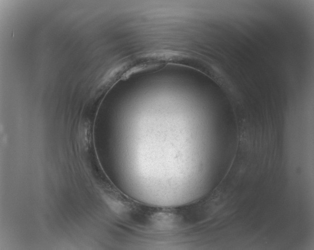 X0000077410119200610272115