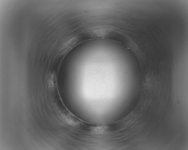 X0000077410122200610272115