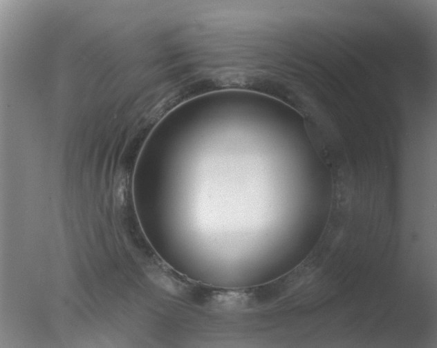 X0000077410125200610272115