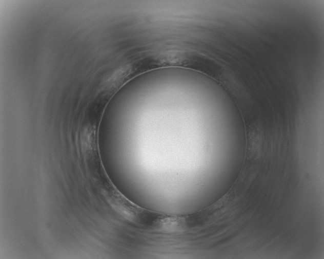 X0000077410126200610272115