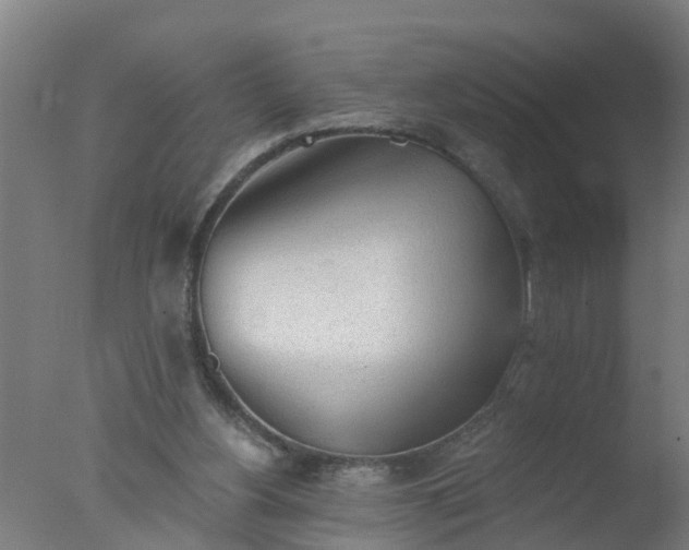 X0000077410156200610272114