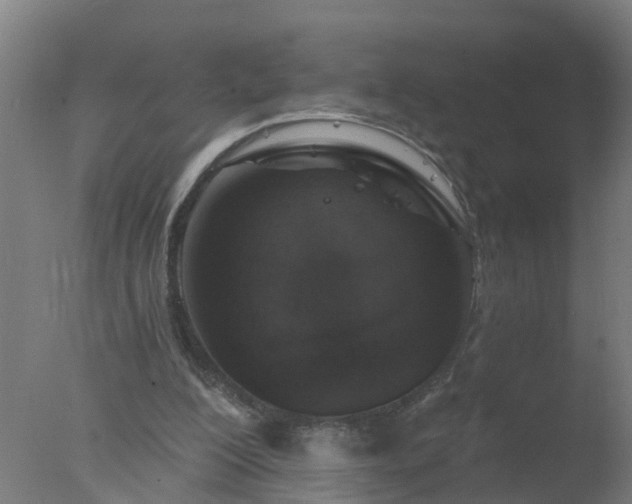 X0000077410200200610272113