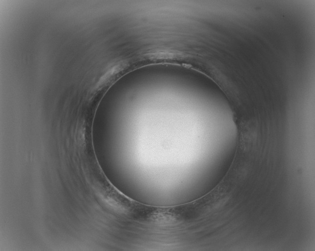 X0000077410207200610272113