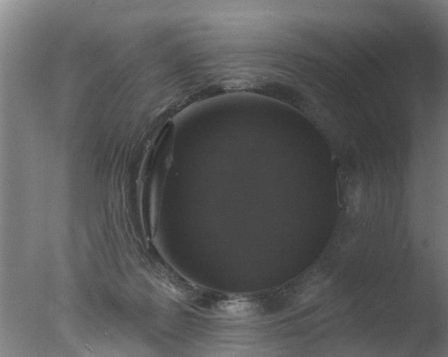 X0000077410219200610272113