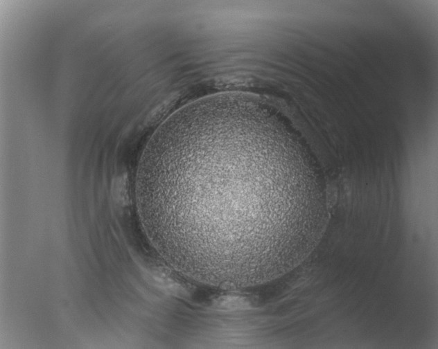 X0000077410224200610272113