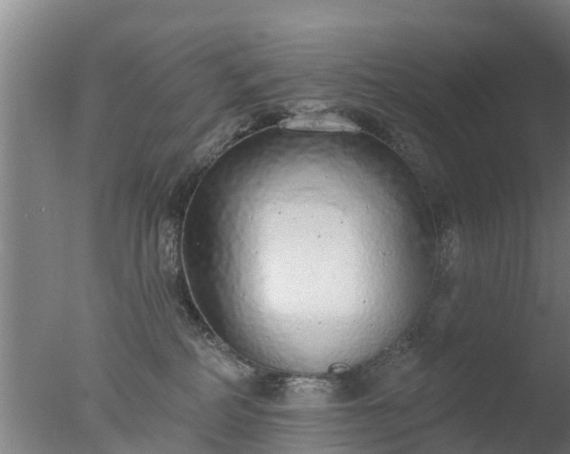 X0000077410234200610272113